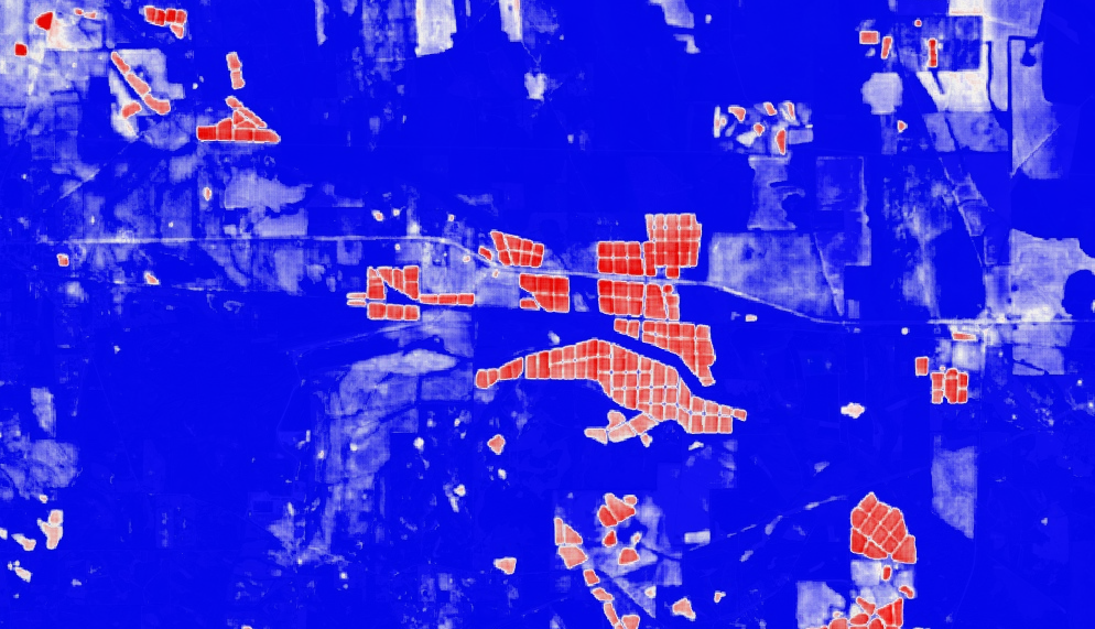 Alabama Catfish Aquaculture